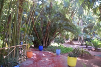 Majorelle.JPG (130.48 KiB) 2882 mal betrachtet Original