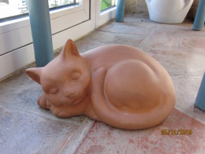 Pussy.jpg