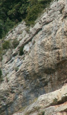PICT0009.JPG, x 1.jpg