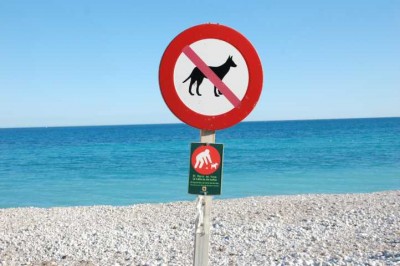 Text auf dem kleinen Schild: Der Hund gehört dir - die Straße allen.