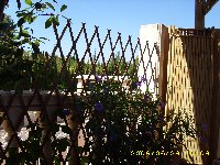 DSCI0088_200x150.JPG