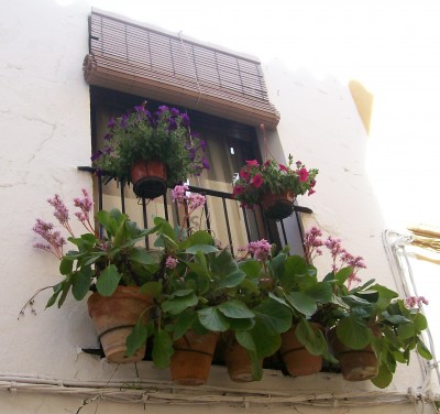 2009 20.3. 138.jpg