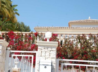 Bougi2.JPG (77.25 KiB) 2501 mal betrachtet an der Costa Blanca