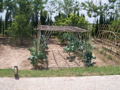 Variation 2 - Mustergarten nach alten Vorbildern in der Nähe von Valencia
