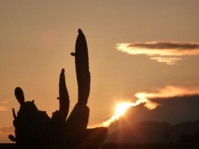 P1090942.JPG (50.31 KiB) 1629 mal betrachtet Sonnenuntergang am 04.05.2011 in Jalon