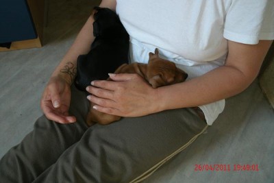 cbf4.jpg (55.67 KiB) 1112 mal betrachtet Schlafen und Großwerden lautet die Devise