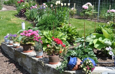 Garten  Anfang Mai 2011 1611.jpg, 1.jpg
