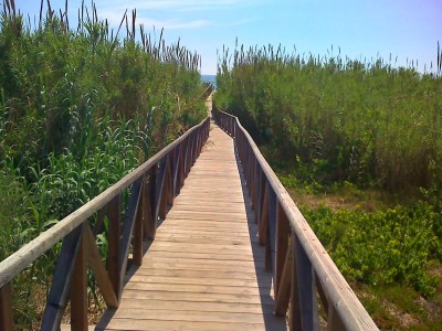 Campomar