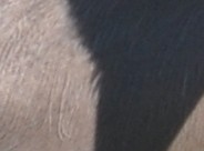 Bild 127.jpg, x 2.jpg