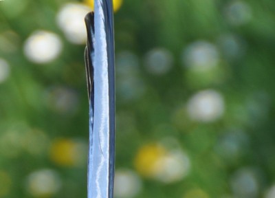 Bild 127.jpg, x 5.jpg