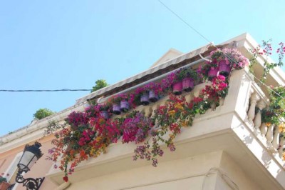 Blumenschmuck an neuen Häusern