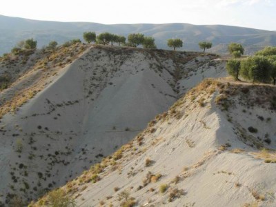 Mergelbruch.jpg (49.65 KiB) 2031 mal betrachtet Hier wird nichts abgebaut, das ist der typische Mergelbruch in unserer Gegend.