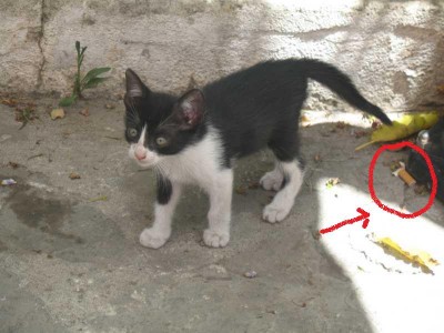 Wehe du petzt, dass ich geraucht habe rot.jpg