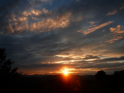 P1100139.JPG